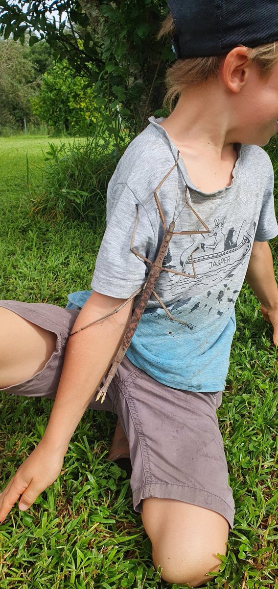 Michael Rose tweet media