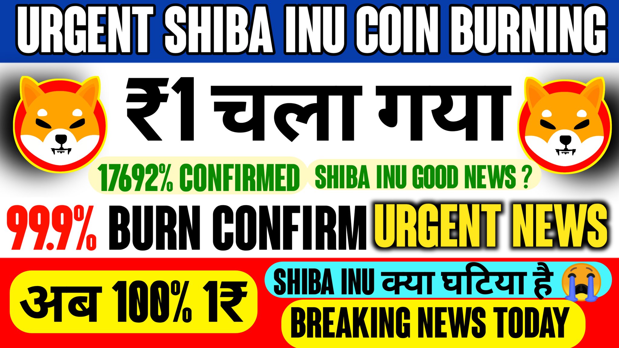 shiba inu coin news today twitter