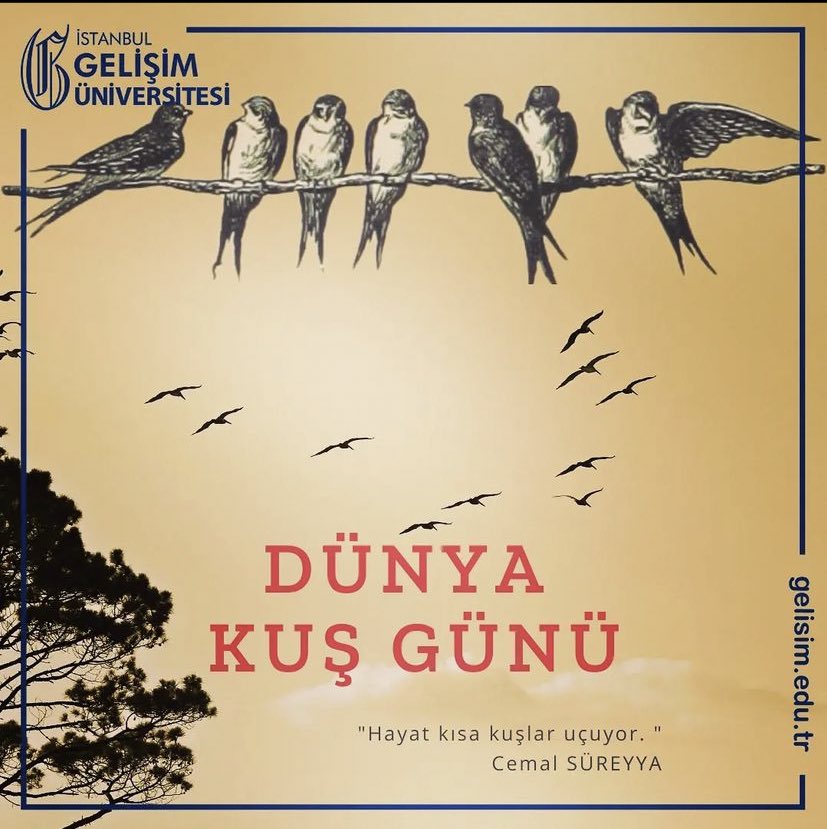 Günaydın. Dünya Kuş Günü demişken… Dünyanın eşsiz müzisyenlerini soğuk kış günlerinde unutmayalım ve hep güzelliklere uçalım. Bu kadar kuş yanılıyor olamaz…
#dünyakuşgünü #kuşlar #kuşlaruçuyor #igushmyo #igugelisim #istanbulgelişimüniversitesi