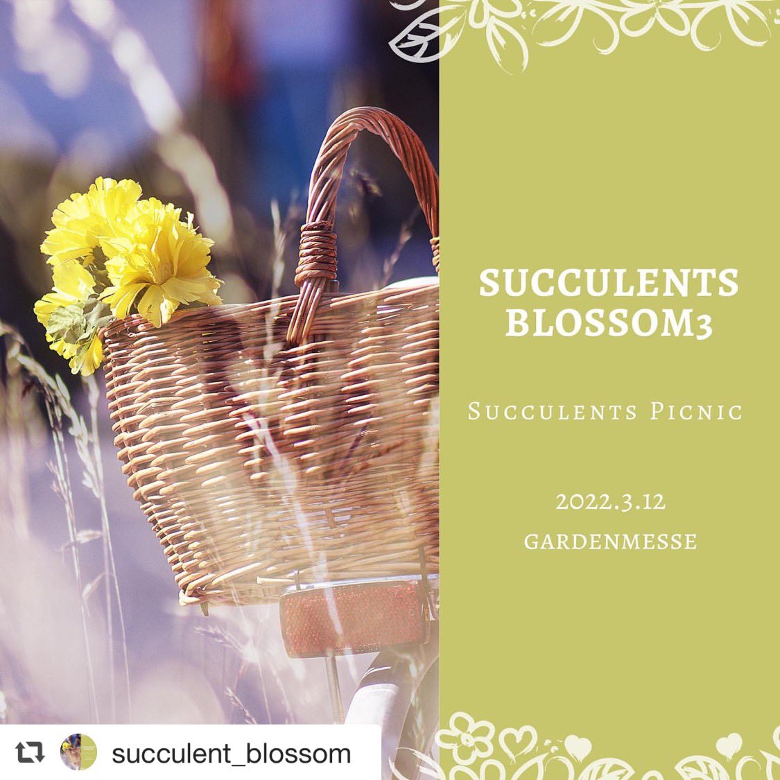 hacchi1222's tweet photo. イベント出店のお知らせ☘️その2

Succulent blossom 3🎪
日時　3/12(土)
開催時間:未確定
場所　ガーデンメッセ
　　　東京都八王子市

今回のテーマは
Succulent picnic✨
さて、どんな作品を作ろうかなぁ☺️🌸
父のオリジナル交配苗も持参します..♪

https://t.co/A1X5ulNRBz https://t.co/LEsrxBtOZT