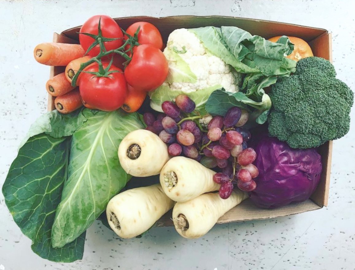 VeryGreen_SE18's tweet photo. Bespoke, fresh fruit &amp; vegetable boxes delivered safely to your doorstep with simple and secure online ordering from as little as £10. 
.
Visit https://t.co/5U7myJ8KMl to find out more. 
.
#zeropackaging #noplastic #homedelivery #veganuary #greenwich #lewisham #bexley #bromley https://t.co/DMcpPFOAID