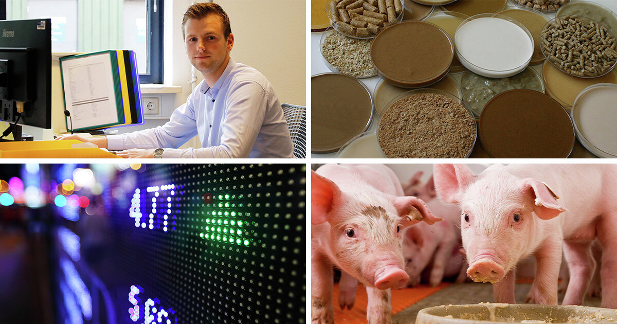 Gezocht: relatiebouwer met commerciële antenne voor de handel in vochtrijke (bij)producten voor varkens. Werkplek in Heijen, maar thuiswerken kan ook! Check de #vacature ➡️ bit.ly/3DlzdFQ #werkenbijforfarmers #nieuwebaan #nieuweuitdaging #fulltime #forthefutureoffarming