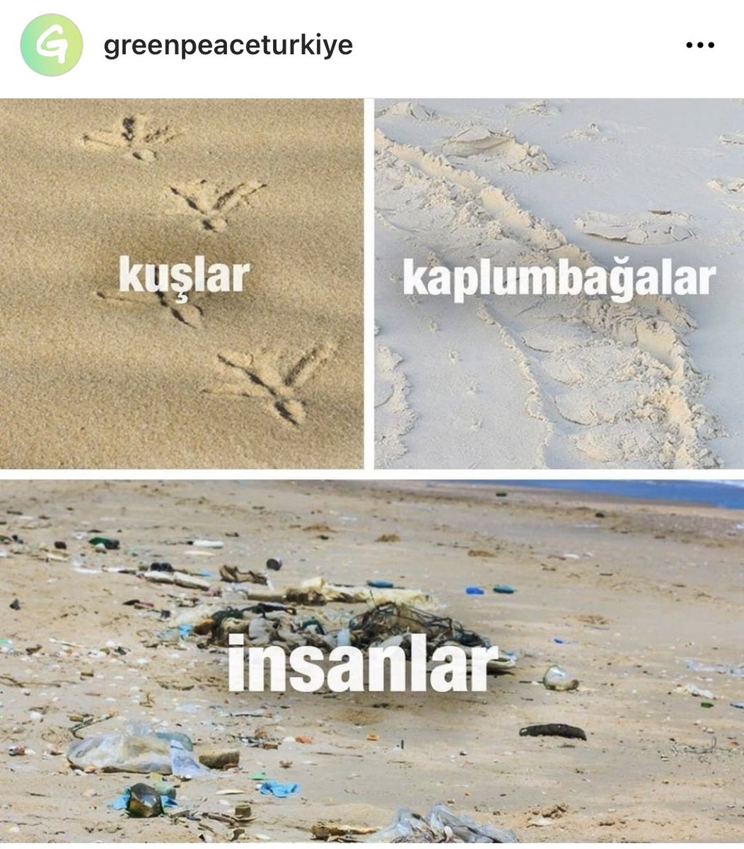Birde kumları çalınıp betona boğulup adına millet bahçesi denilip katledilen Salda Gölü kumsalı var. Orayıda ekleseydin ya <a href="/Greenpeace_Med/">Greenpeace Türkiye</a>