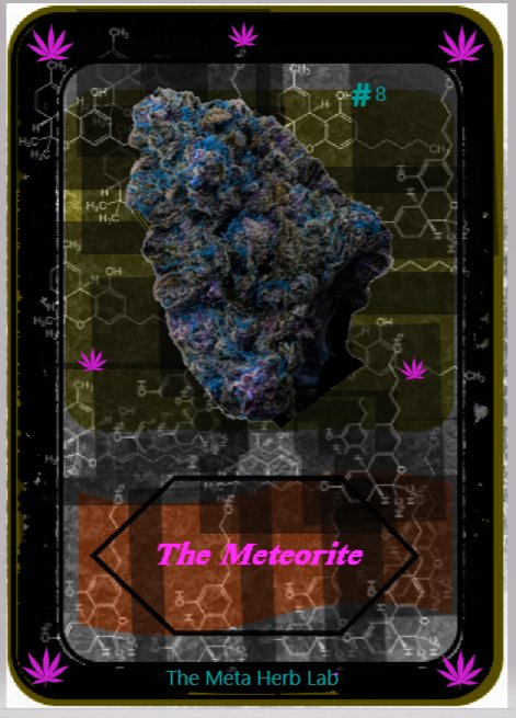 Themeta Herblab tweet media