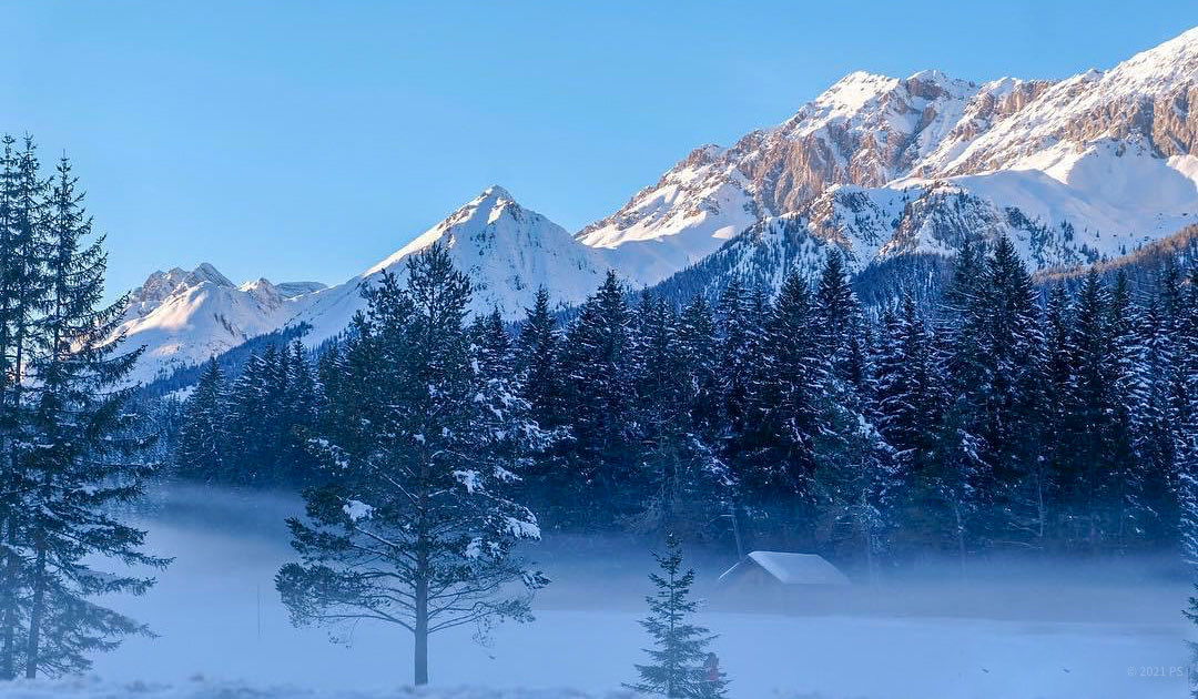 Petra_C_M_P's tweet image. Unter einer zarten Decke….ups, verschlafen.

Guten Morgen, Welt! 

#SnowContent