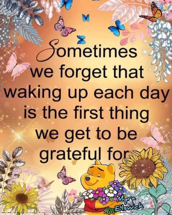 ErikaPetrie2's tweet photo. Happy Wednesday dear friends…remember to be grateful #countourblessings #AttitudeofGratitude #BeKind #KindnessTrain 😊💪❤️ https://t.co/76CdRiZJyw