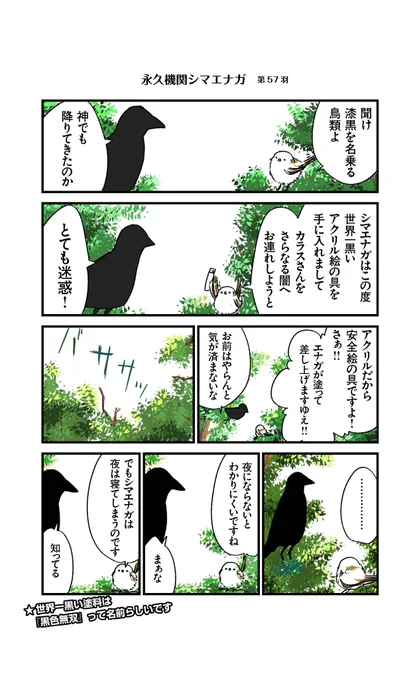 あざといシマエナガと賢いカラス_57
#永久機関シマエナガ
#シマエナガとカラスさん 