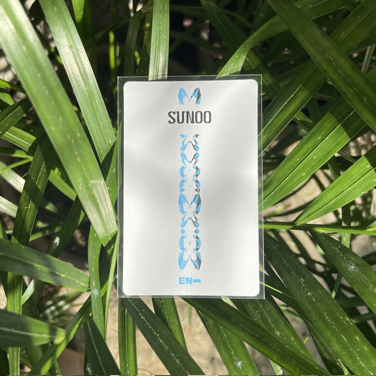 enfinityy's tweet photo. 💌 sunoo charybdis essential official pc giveaway, fresh pull from the album (free lsf) !!

make sure to:
— like and retweet
— mbf 
— drop anything if you're done.

i'll dm you if you're the winner ^^
[ends on january 10; for filo engenes only] https://t.co/3EnZcyIlNV