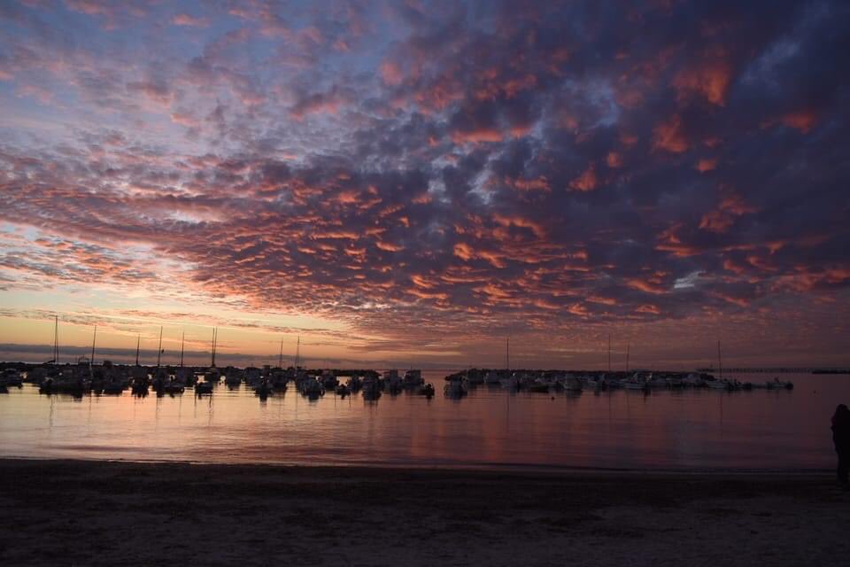 lucia davi tweet media