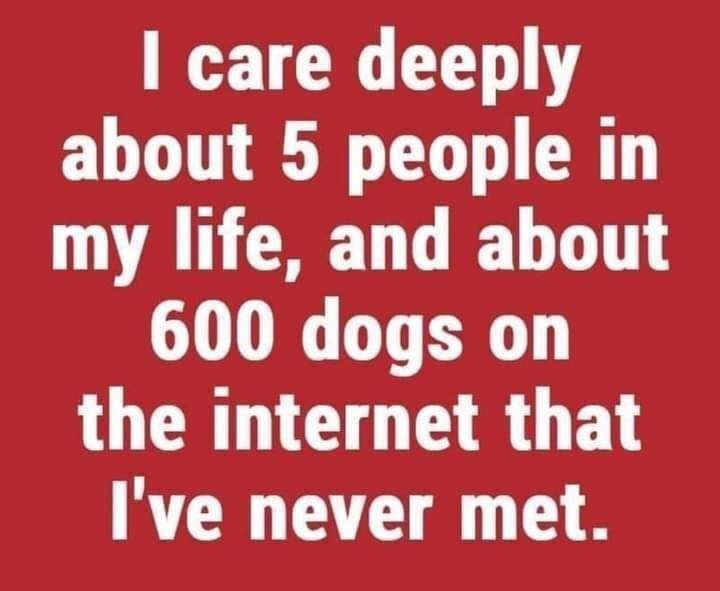 Stumbled across this, so true 😂🤣😍🐶🐾
#dogs #doglovers