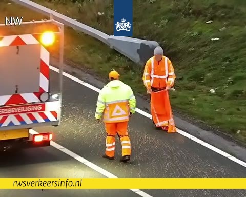 RWSverkeersinfo's tweet photo. 🍲 | Een vrachtwagen heeft een lading erwten gestrooid op de #N2 richting Batadorp. Tussen Waalre en de High Tech Campus is een rijstrook versperwt voor het opruimen erwtvan. https://t.co/Kw8GiDoVnH