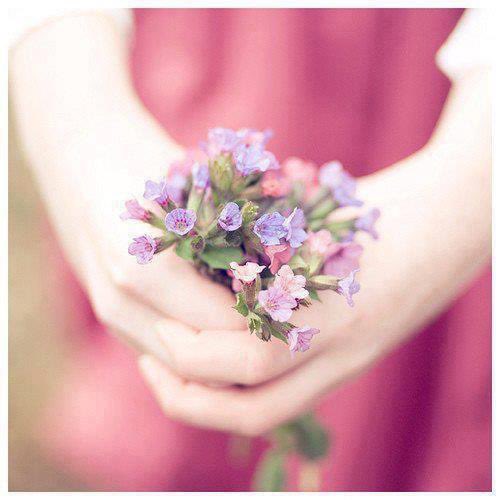 lucia davi tweet media