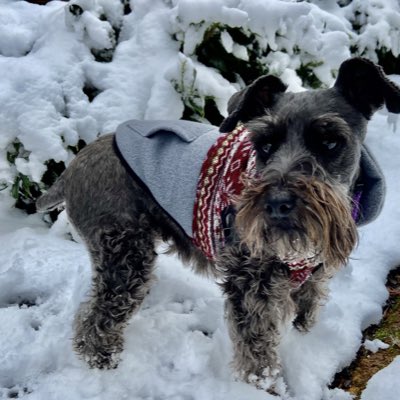 Bailey_Rules's tweet photo. #NewProfilePic https://t.co/krjTfcE2Wo