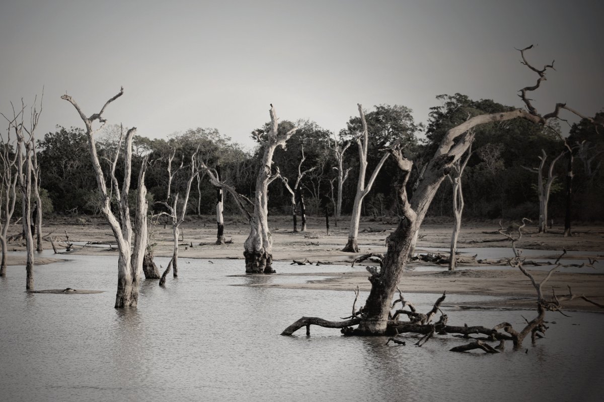 susfari's tweet photo. Climate change is changing development approaches. So what exactly are the challenges to a quality life in the face of climate change and how can they be overcome?
https://t.co/DZssLStfZ9 https://t.co/BGvcmMRPT8