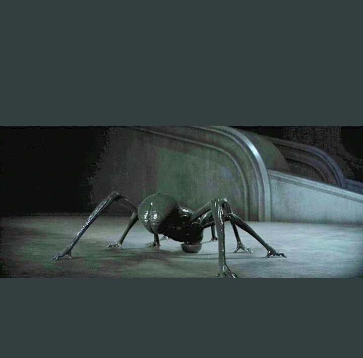 33timo7's tweet photo. Quizá sea una estupidez , pero he soñado con algo parecido hace un tiempo . También me pregunto cómo hubiera reaccionado #paulatreides de verlo , y quién es más en una pelea a muerte : la araña mascota o el gusano de arena ? #alienspider #DuneMovie https://t.co/A115P2XoTA
