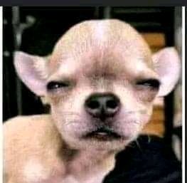 Who decided that we should bath every day?🤔🤔😂😂🤣🤣