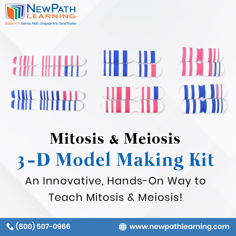 NewPathLearning's tweet image. NewPath&apos;s Mitosis &amp;amp; Meiosis 3-D Model Making Kit is an innovative hands-on way to teach about this key process! Students make colorful model chromosomes and use them to work through each of the stages of cell division. newpathlearning.com/store/store/mi…
#NewPathLearning #Mitosis #Meiosis