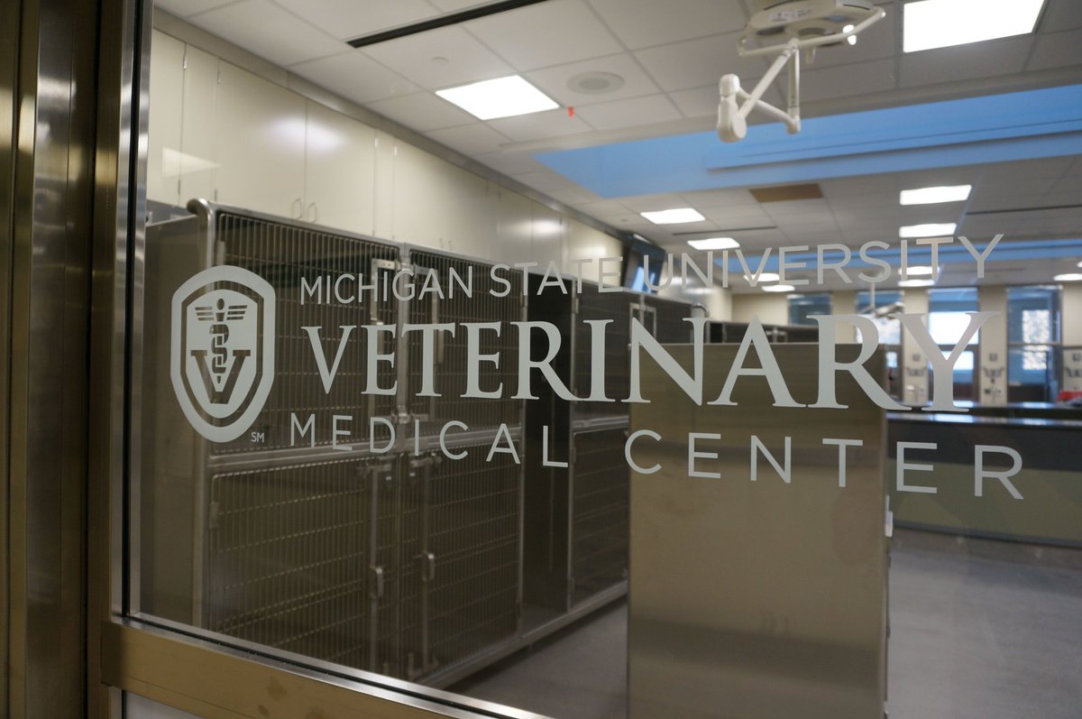 JobVmc's tweet photo. Our small animal clinic is looking to hire an animal caretaker. Apply here: https://t.co/Q8MEbPKKX9 https://t.co/vQj0E1TZO0