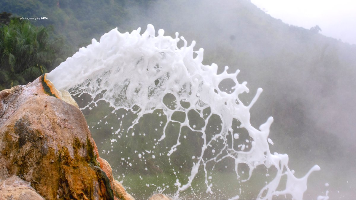 ugwildlife's tweet photo. #DidYouKnow: Semliki National Park hosts one of the few tropical lowland rainforests of Africa? The Semliki Valley joins the heights of East Africa to the vast, steamy jungles of Central Africa. This park is most famous for its prehistoric hot springs at Sempaya. #VisitUganda https://t.co/Q4ijWURoWs