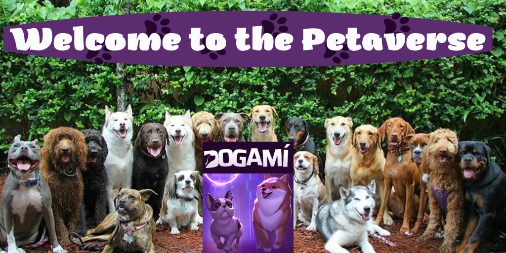 YevheniiZh777's tweet photo. @Dogami 🐶🐕🦮🐕‍🦺🐩

#DogaMeme  ❤️ https://t.co/4zgQsGlmXr