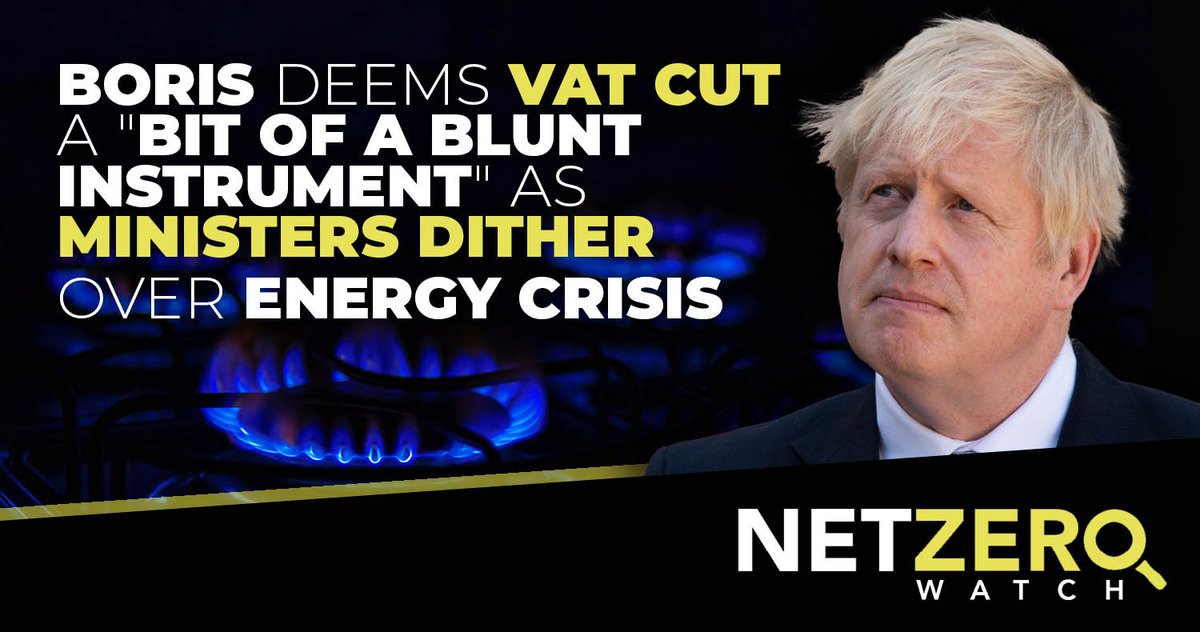 Net Zero Watch tweet media