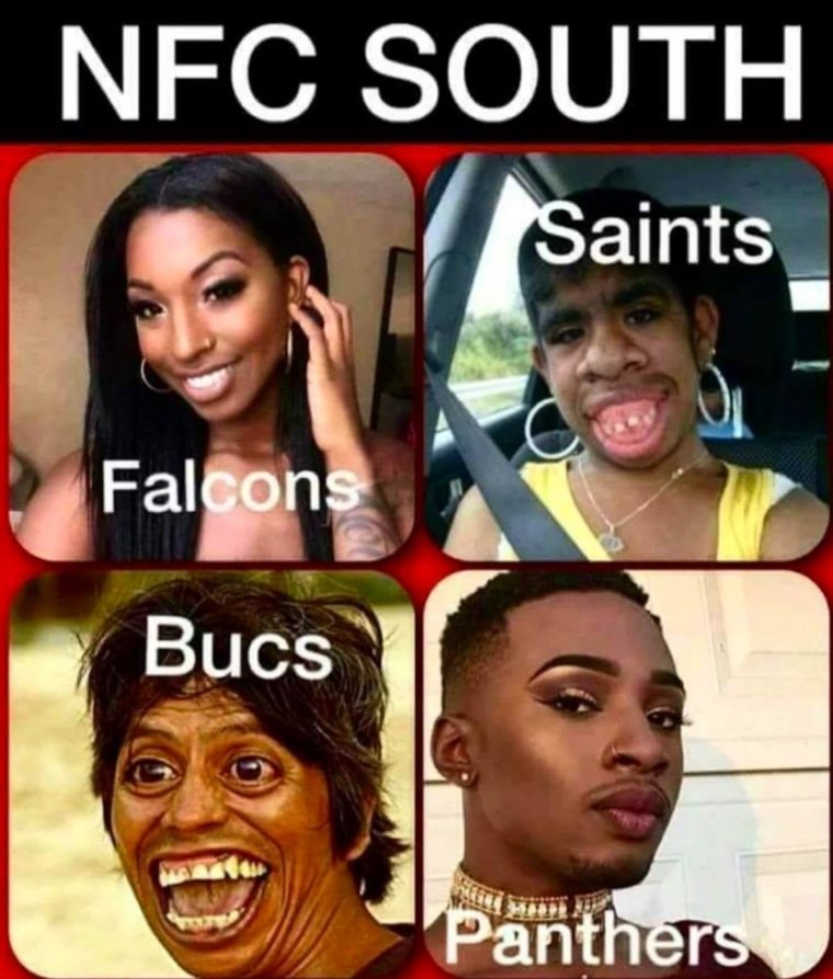 DarrylTheRef's tweet photo. Where is the lie!? #FTS #saintshateweek #dirtybirds https://t.co/T4HWgugps8