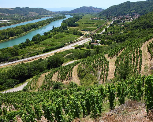 bidule2607's tweet photo. Amis drômois de la vallée du Rhône, Éric #Zemmour compte sur vous ! https://t.co/QHm510jUUV