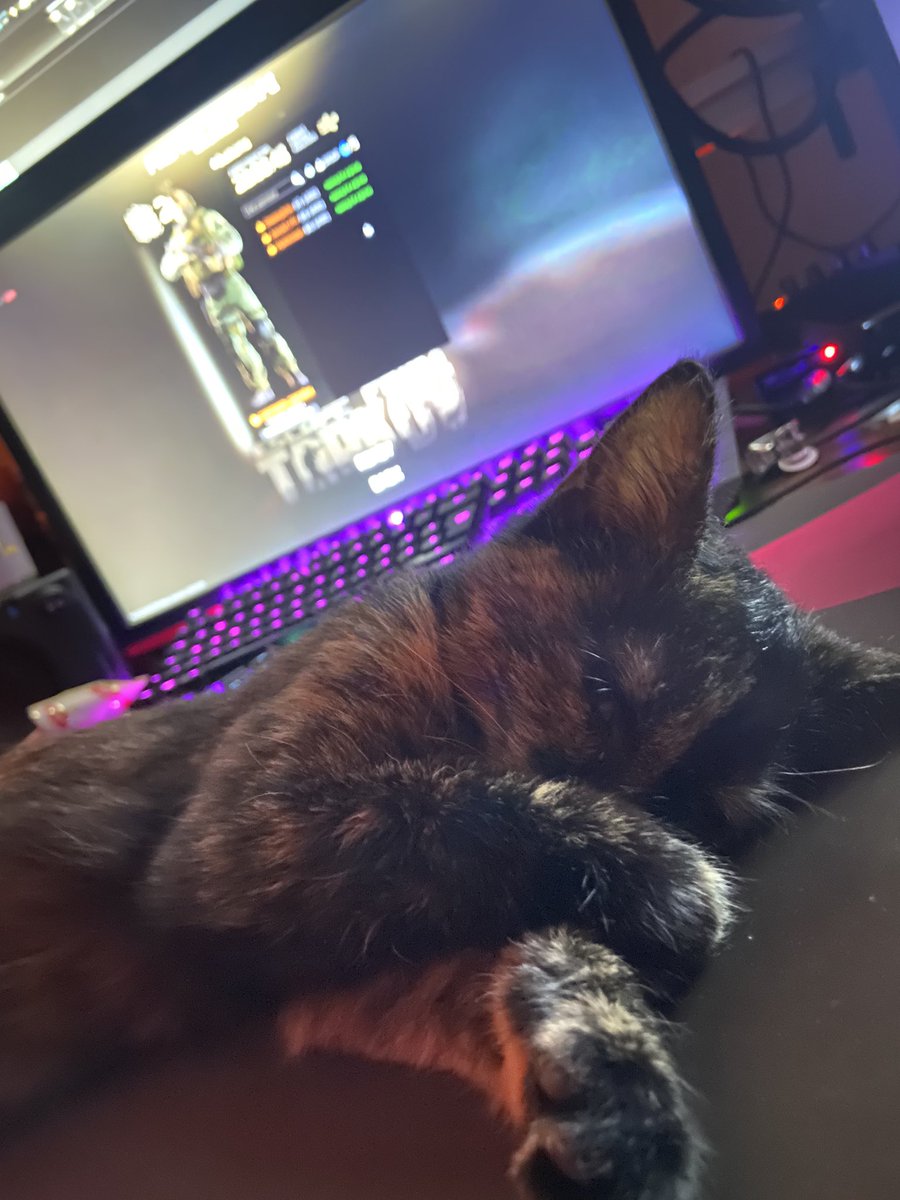 Wir starten um 17.00 Uhr den Stream. Duo's mit <a href="/Paddyeve/">Paddyeve</a> 🙆🏼‍♀️

#stable #twitch #Efteling #EscapefromTarkov