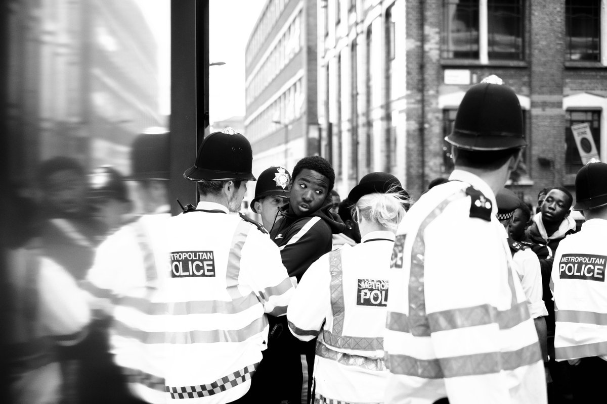 The Last Dinosaur tweet media