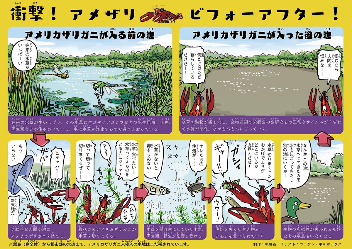 ポプラ社の『🦞ザリガニがきえる!?』か…図書館で借りてみてヤバイ本だと思ったけど、まさか小学校のテキストに採用されているとは。
やはり、全国津々浦々の小学校に、環境省のアメリカザリガニ紹介イラストを貼らねば🦞。
https://t.co/llUcDzLWkZ https://t.co/CCok4da70g