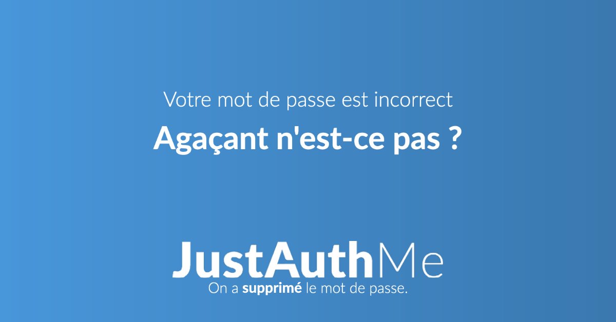 JustAuthMe's tweet photo. On ne veut pas être désagréable mais... #relou #motdepasse https://t.co/d53UKj54C1