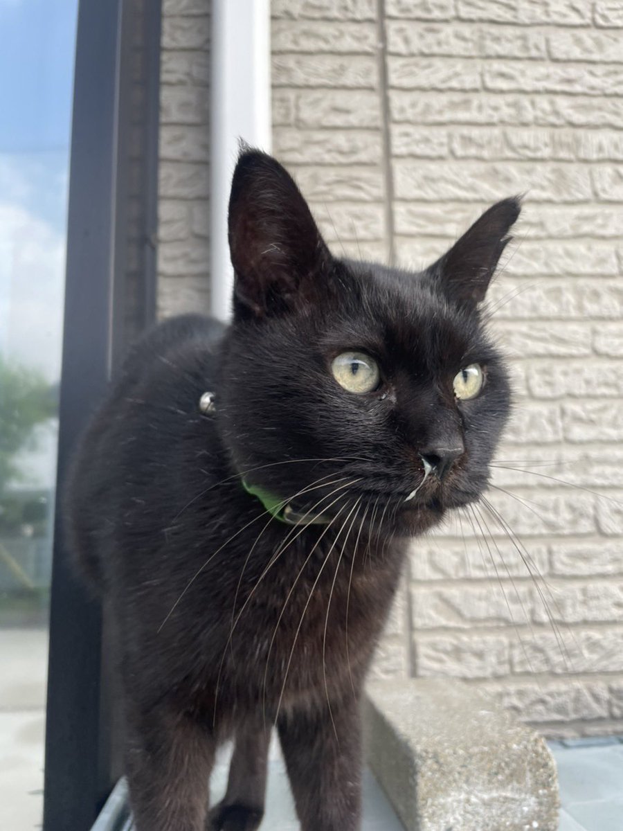 えいぞう tweet media