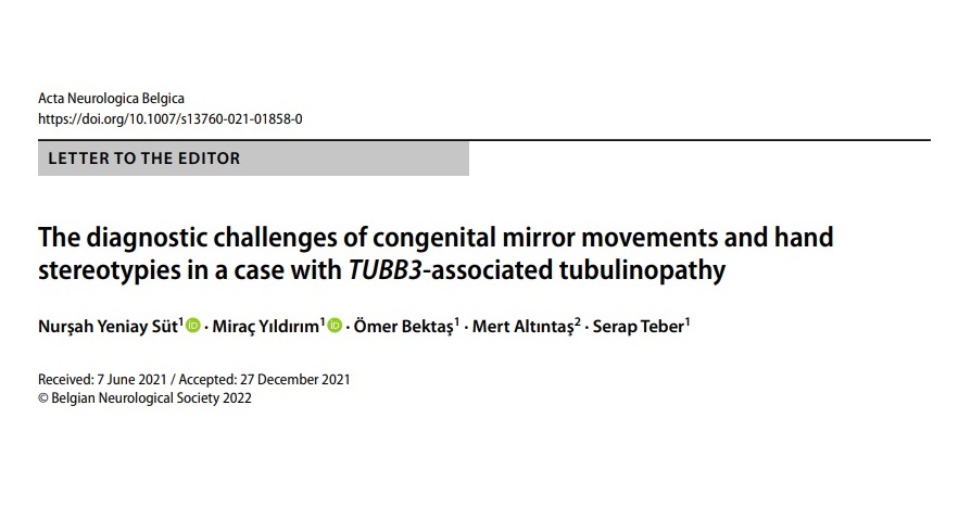 Dahil olduğum birtakım akademik işler...