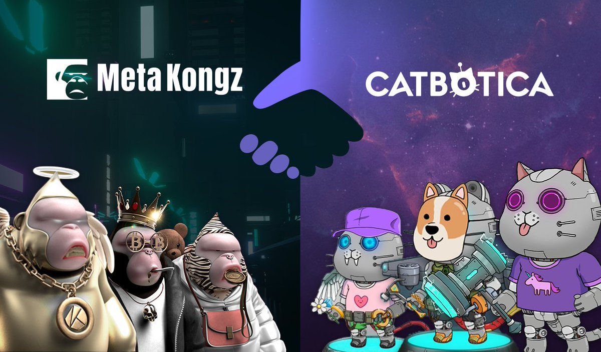 Meta Kongz tweet media