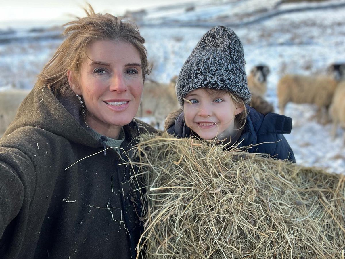 YorkshireShepherdess tweet media