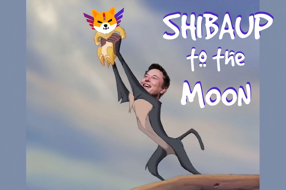 🚀💎💎💎🚀
We are going to give 100$ ShibaUP  to someone random who is following US and retweet this tweet.  
🚀🌕
<a href="/ShibaUPofficial/">Shiba UP | www.shibaup.tech 🚀🌕</a> #shibaUP <a href="/elonmusk/">Elon Musk</a>