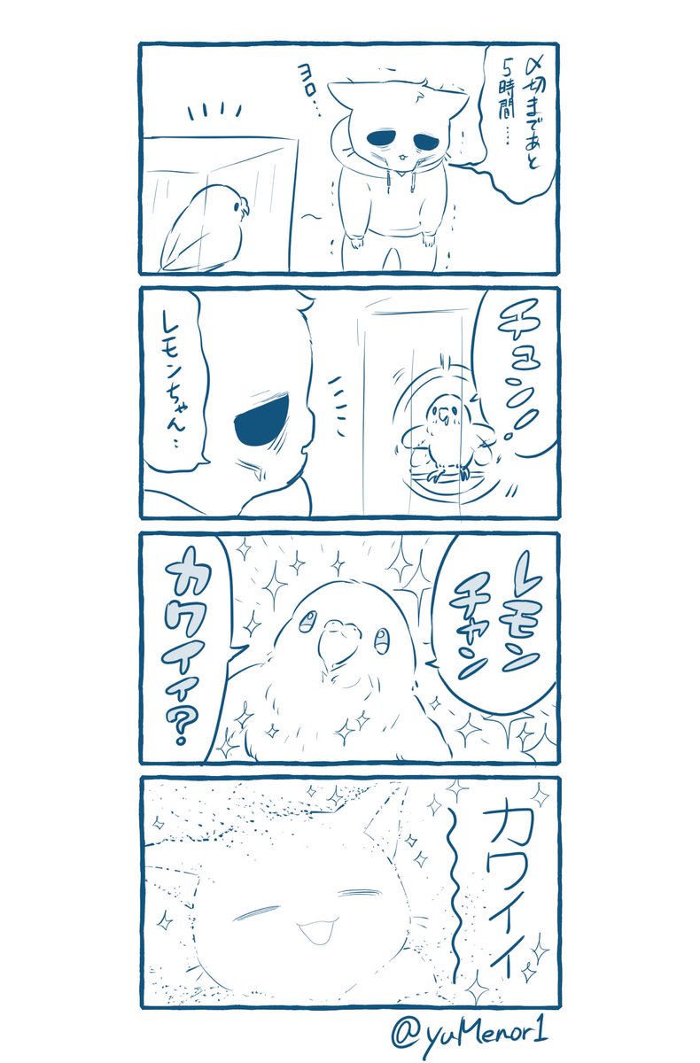 インコと暮らしててよかったと思った瞬間 