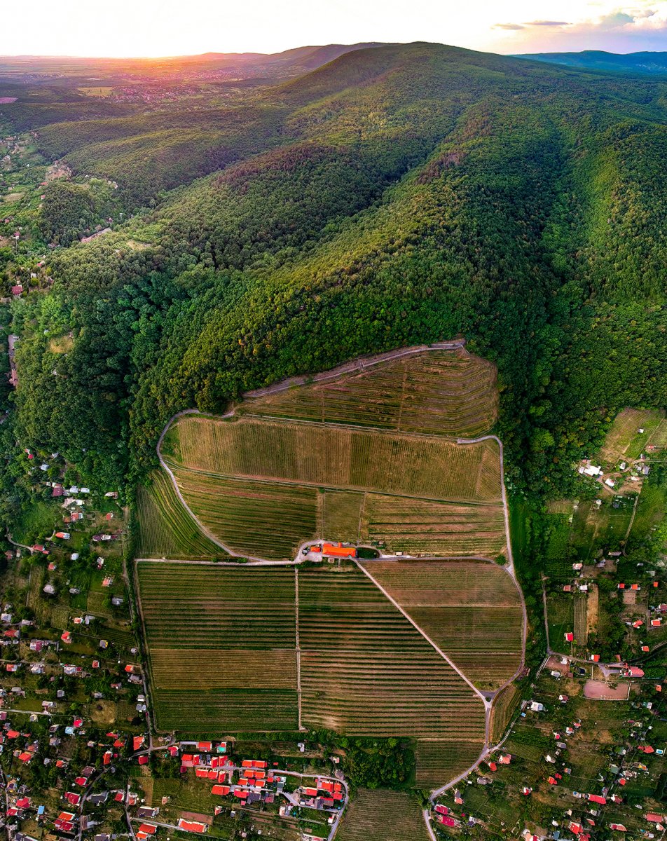 The Summa Merlot 2017 of the University Wine Estate of Pécs has been voted to be included on the list of 12 Best Wines of Hungary! The ‘Super 12’ selection of 2021 was curated by the Hungarian Wine Writers' Association. 
international.pte.hu/news/universit…
#university #wine #bestofhungary