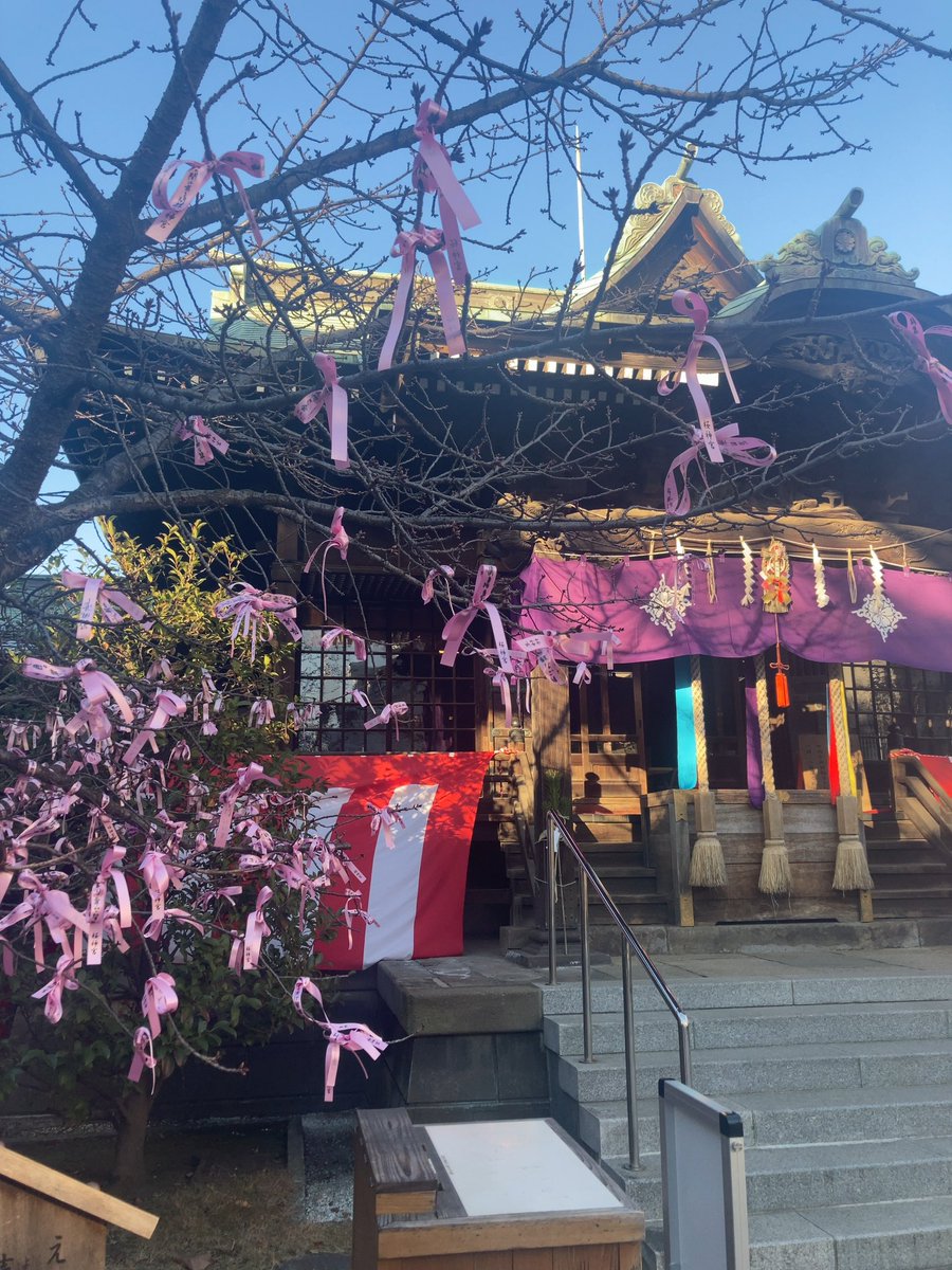 ctheron97's tweet photo. 2022年1月5日
#桜神宮
#御朱印
年末年始仕事が忙しすぎて…やっと本日初参拝行けました。
#明けましておめでとうございます 
#今年もよろしくお願いします 
東京都世田谷区新町 https://t.co/ECvTCTX93z