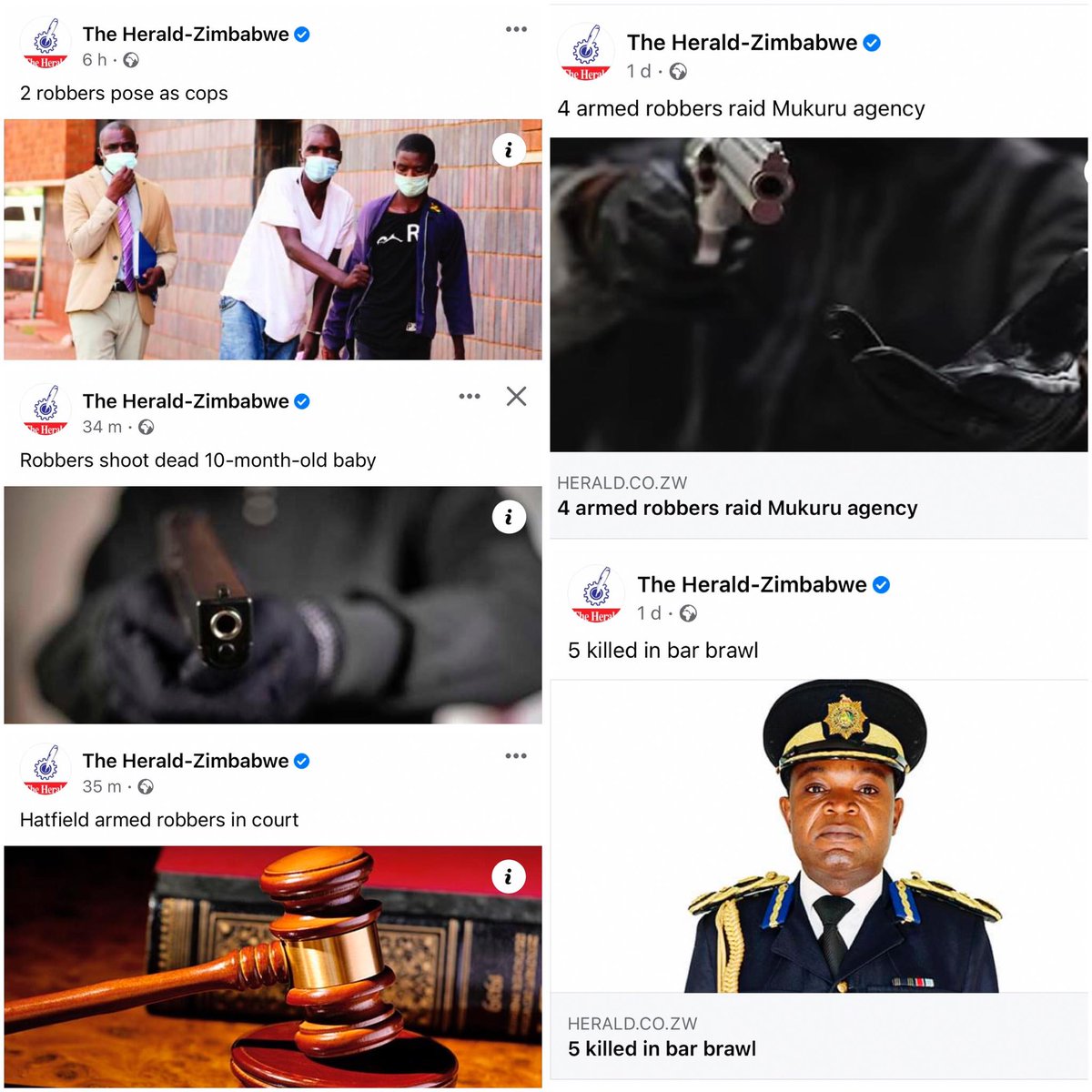 Zimbabwe Constitutional Movement (ZICOMO) tweet media