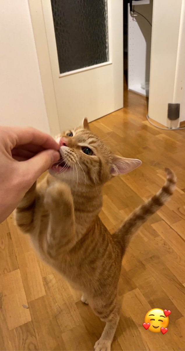 Evohcadoh's tweet photo. Über jegliche Art von Support wäre ich dankbar.♥️

https://t.co/xlJFjRKKlW https://t.co/PrdDl9qOoV