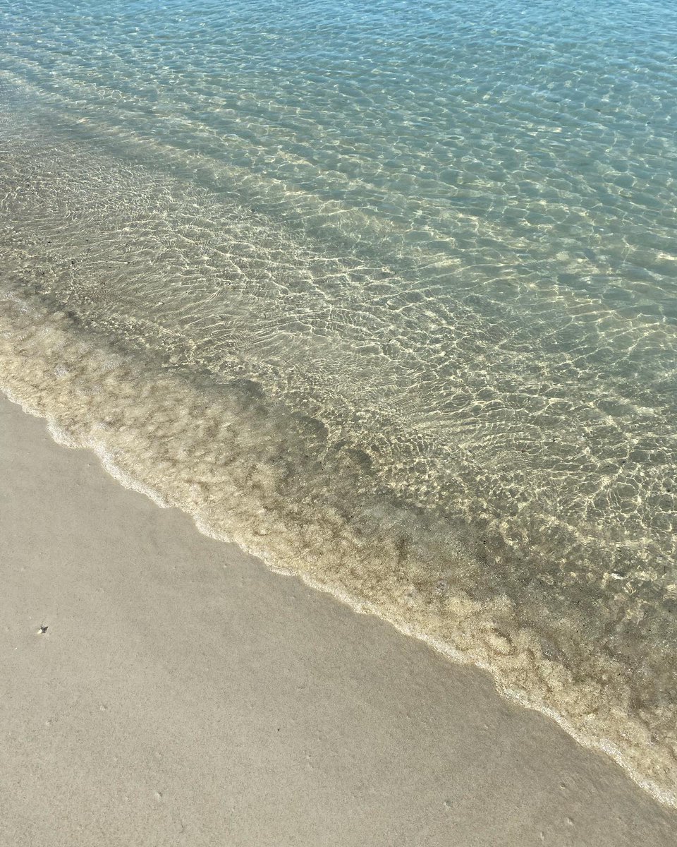 Mauritius Island tweet media