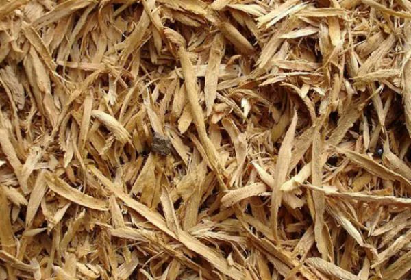 CONOCE LOS TIPOS DE SUSTRATO PARA TU CULTIVO HIDROPÓNICO
buff.ly/3uW6i7I