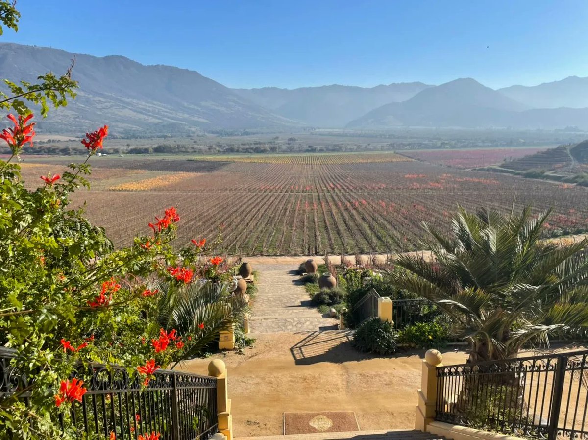 AmericasPartner's tweet photo. Chile is among the 7 countries in the world that are the best destinations for wine tourism. Our partner ADSMundo/Sportstour has several wine tours including specific private visits with specialized oenologists to different wine areas within the country. 

#wineregion #Chile https://t.co/o5SAaN2euD