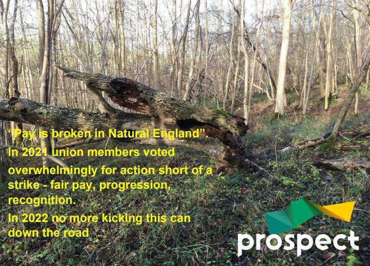 Prospect_NE tweet media