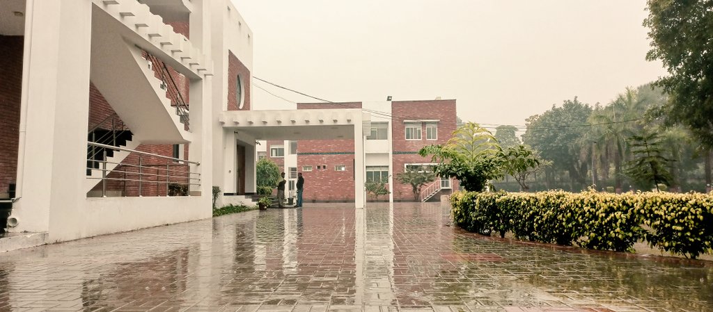 FatimaT04538712's tweet photo. 👉 CSA in Rain

#CSS 
#CSA https://t.co/C5d0lrtL1m