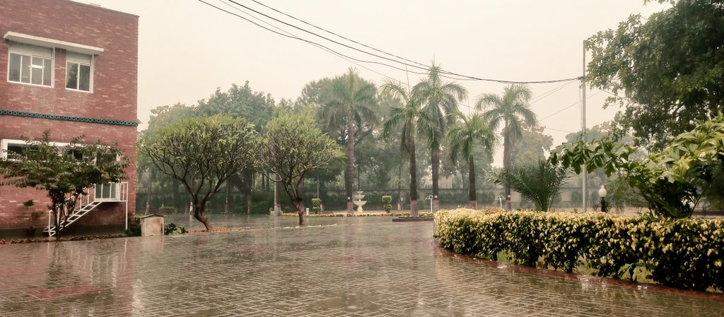 FatimaT04538712's tweet photo. 👉 CSA in Rain

#CSS 
#CSA https://t.co/C5d0lrtL1m