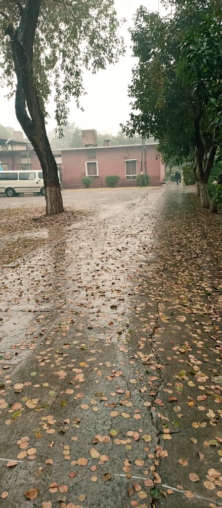 FatimaT04538712's tweet photo. 👉 CSA in Rain

#CSS 
#CSA https://t.co/C5d0lrtL1m