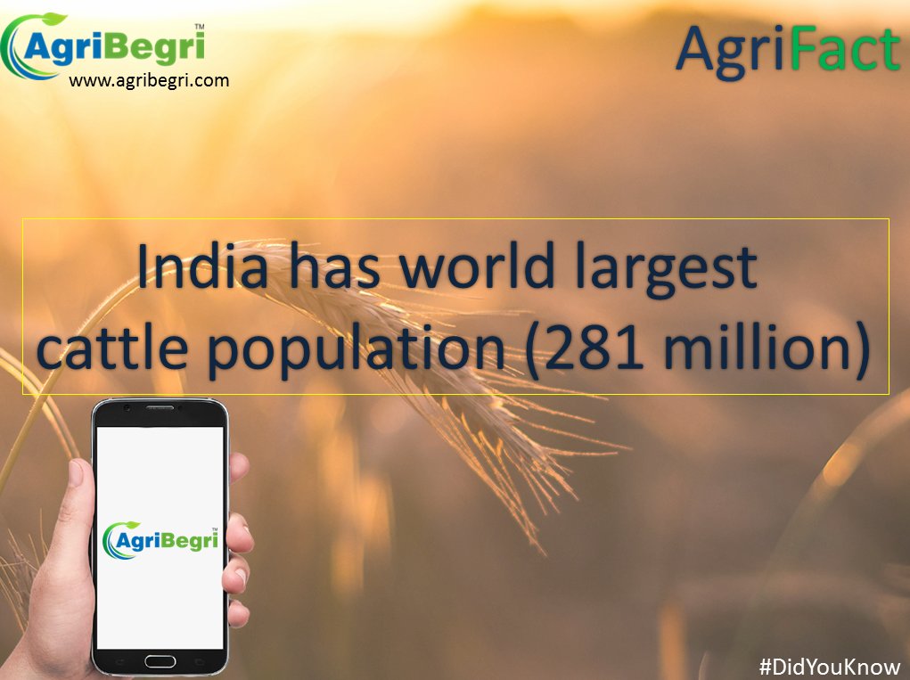 AgriBegri's tweet image. #agribegri #agrifact #agrostore #khedut #kisan
