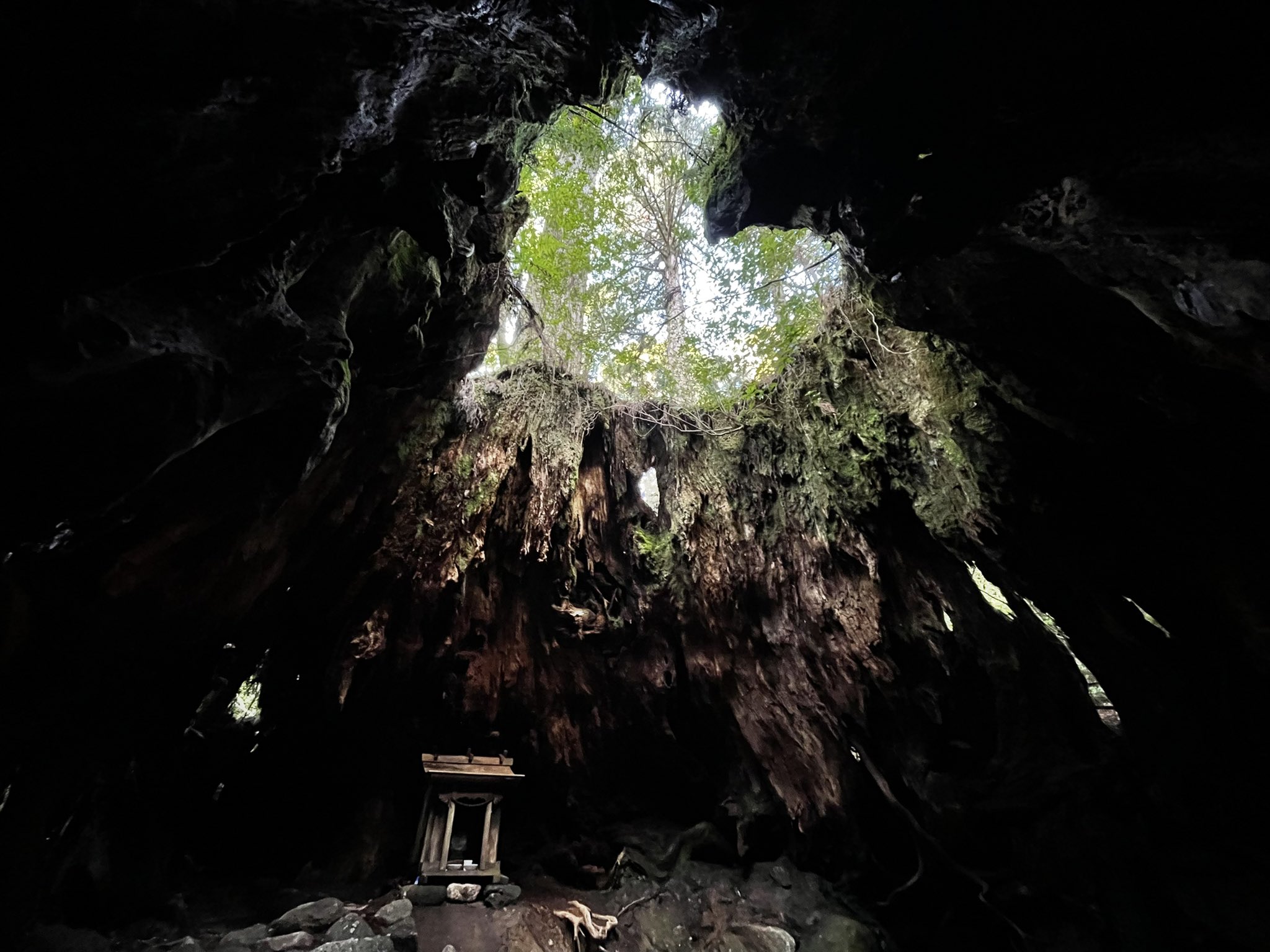 八神朱雀 久々の縄文荒川ルート 最近 のmyブームは登山道を少し外れた所で遊ぶことw 誰もこないので 気兼ねせず遊べて凄く楽しい 屋久島 縄文杉 ウィルソン株 荒川登山口 T Co Ci3kgaqvrg Twitter